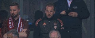 1746279054819032578.gif 牛仁00.gif